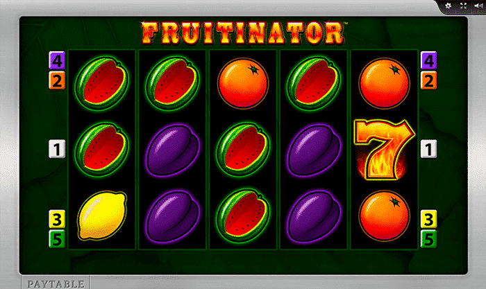 merkur fruitinator.