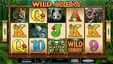 Slot Wild Orient von Microgaming
